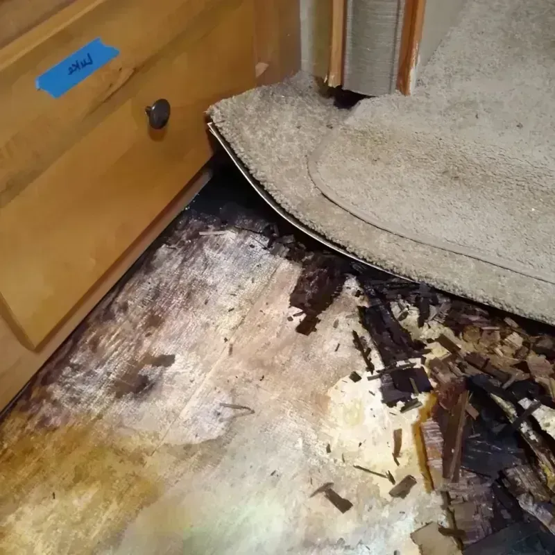 Best Wood Floor Water Damage Service in Walton Park, NY